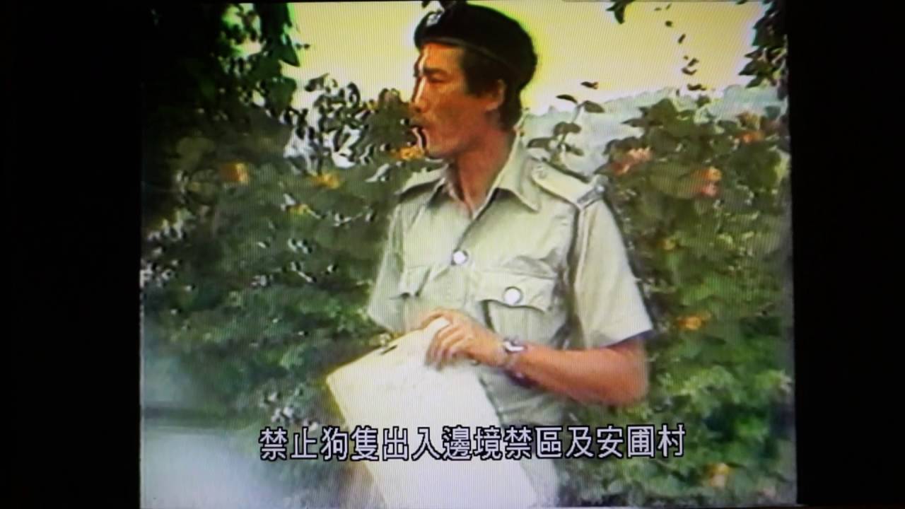 1980年香港大事回顧 (2)