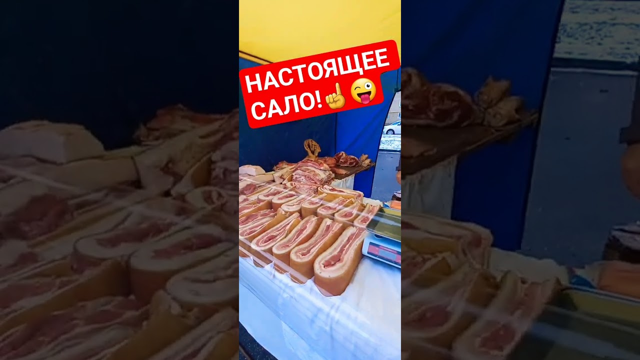 ☝️🇺🇦😜🍗💯🤌ГОЛОДНЫЕ КАЦАПИКИ КОГДА ВИДЯТ, НАЧИНАЮТ НЕРВНИЧАТЬ!💤🦴😫 