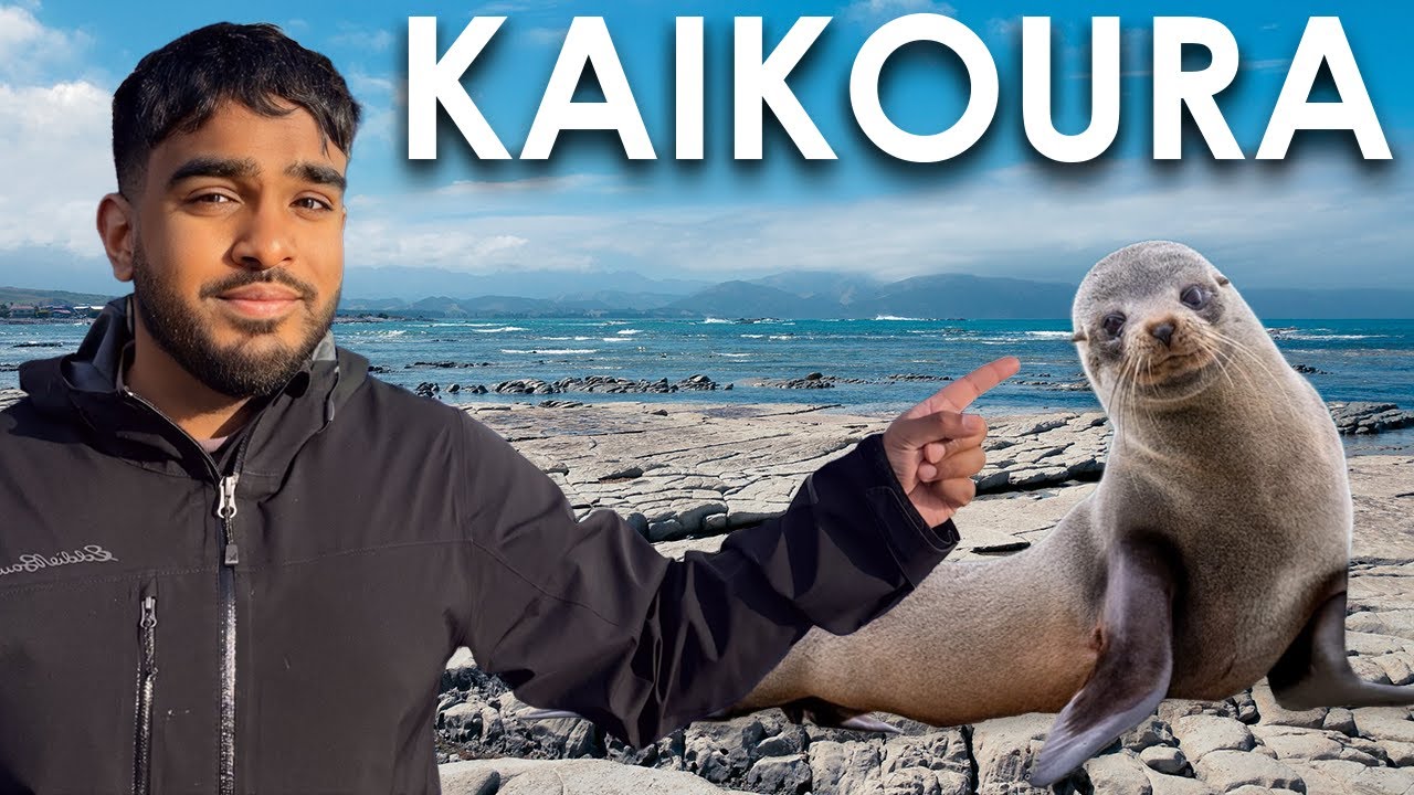 Best Place to See Seals in New Zealand 🇳🇿 | Kaikōura Travel Vlog