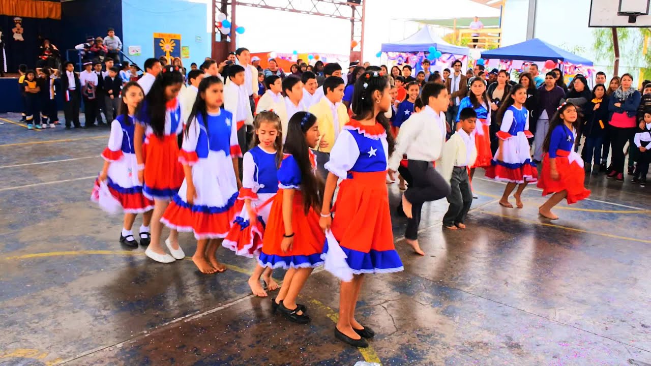 HIJOS DE LA TIERRA        PROFESSOR SERGIO SALINAS G.