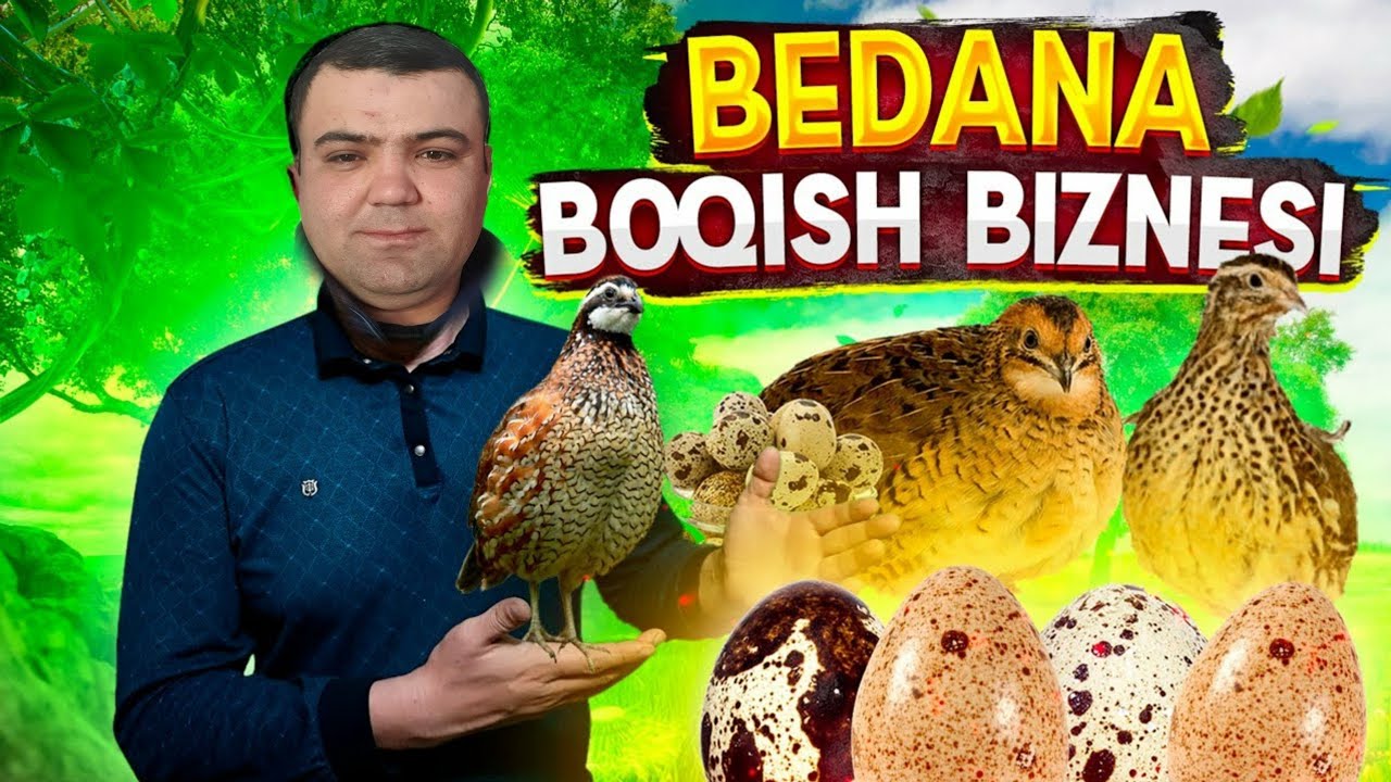 200 $ Kuniga Daromadli Bedona Biznesi Buxoroda Яхшигина Даромадли Бедона Бизнес Бухорода Илк Бора