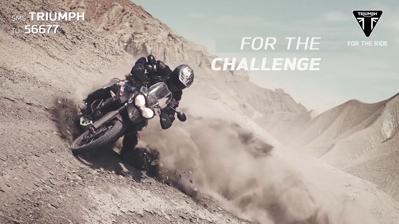 Tiger 800 - For The Adventure