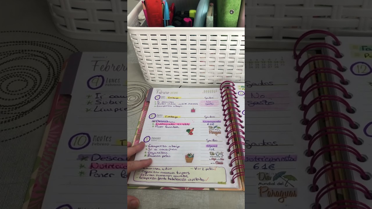 Organización tercera decena de Febrero😊