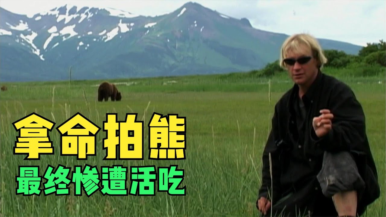 史上最大胆摄影师，跟拍野生灰熊最后被活吃！【妖梦电影】