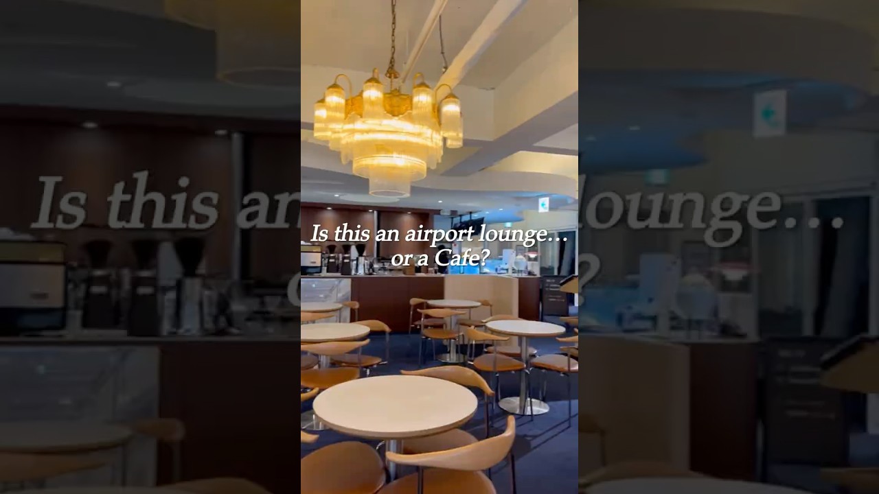 Is this an airport lounge? Or a cafe? #koreancafe #moderncafe #cafehopping
