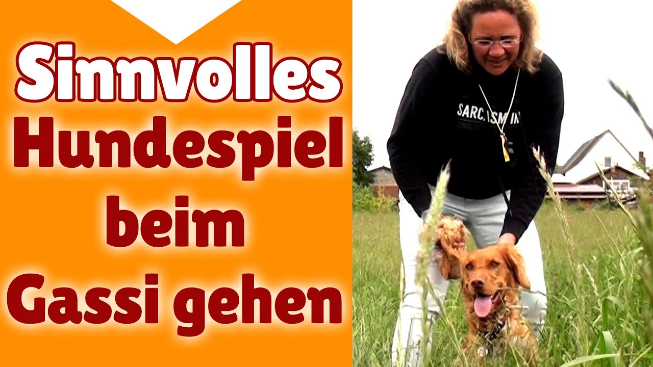 ►► Hundespiele ✔ Sinnvolle Hunde Spiele beim Gassi gehen - Stephanie Salostowitz ✔✔