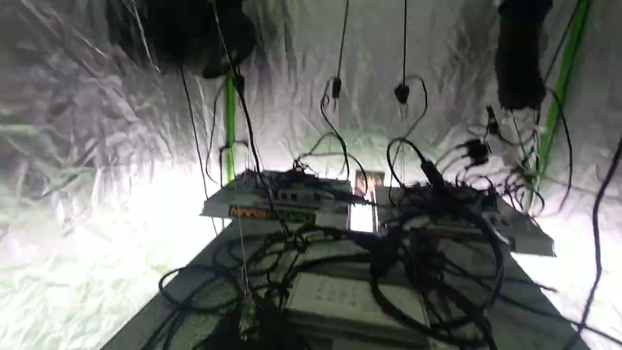 using marshydro tsw2000 and ts1000 x2 seeds from domusseeds