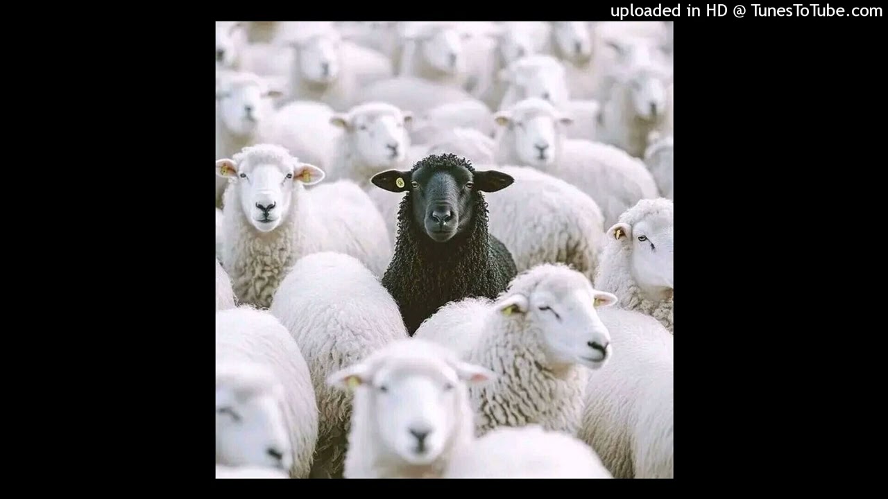 Asambe BlaQ_sa - Secret Level