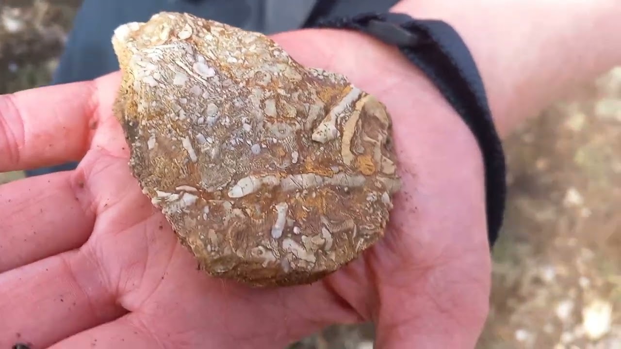 Montaña de Babia. Laguna de Las Verdes y ascensión a Pena Chana.