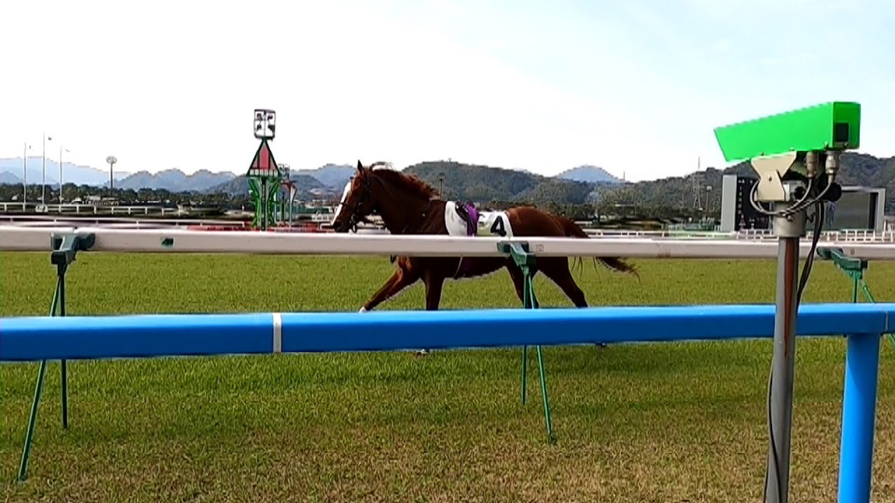 JRA小倉競馬場に行く