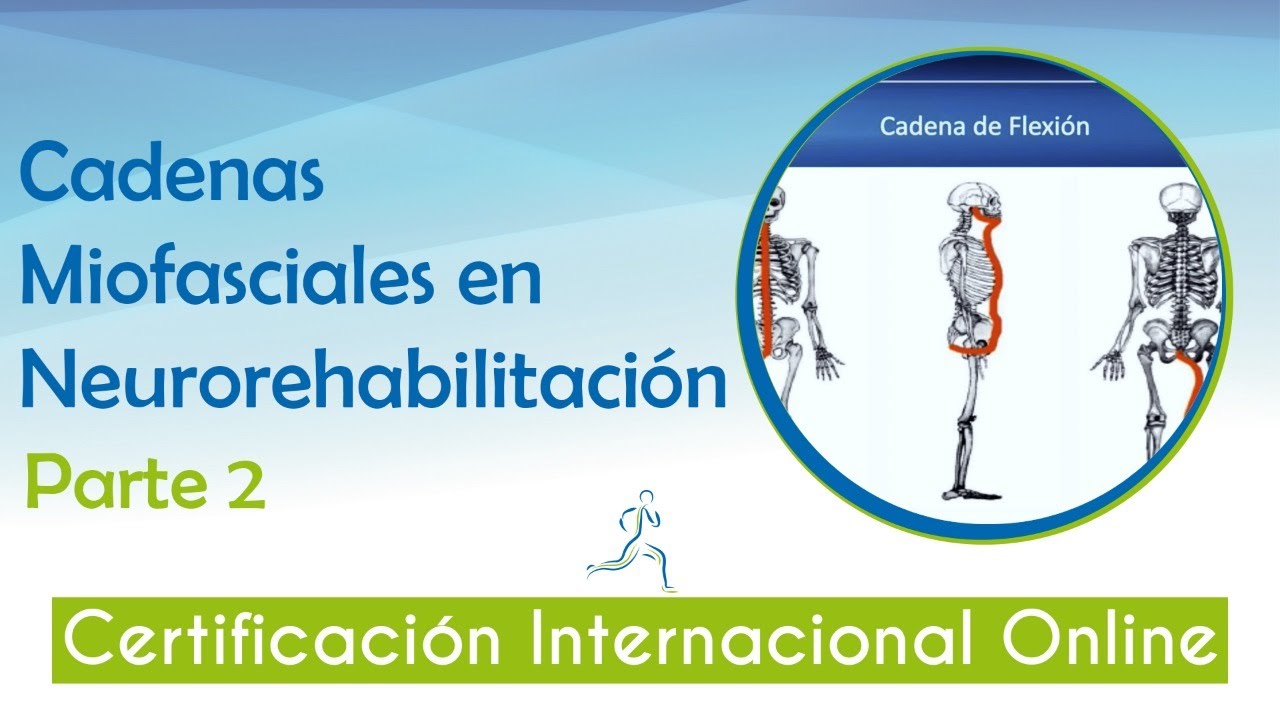 Cadenas miofasciales en neurorehabilitación parte 3