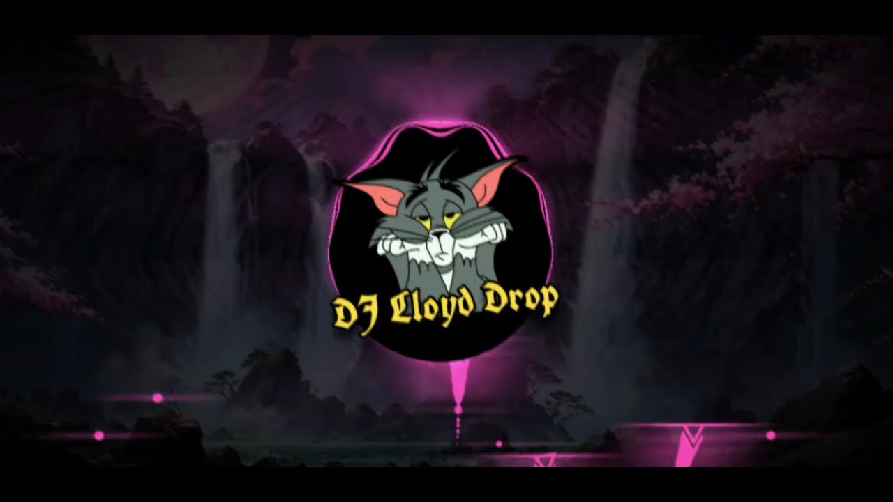 DJ OLD VIRAL TIKTOK SLOWED ALAN WALKER DJ LLOYD DROP REMIX