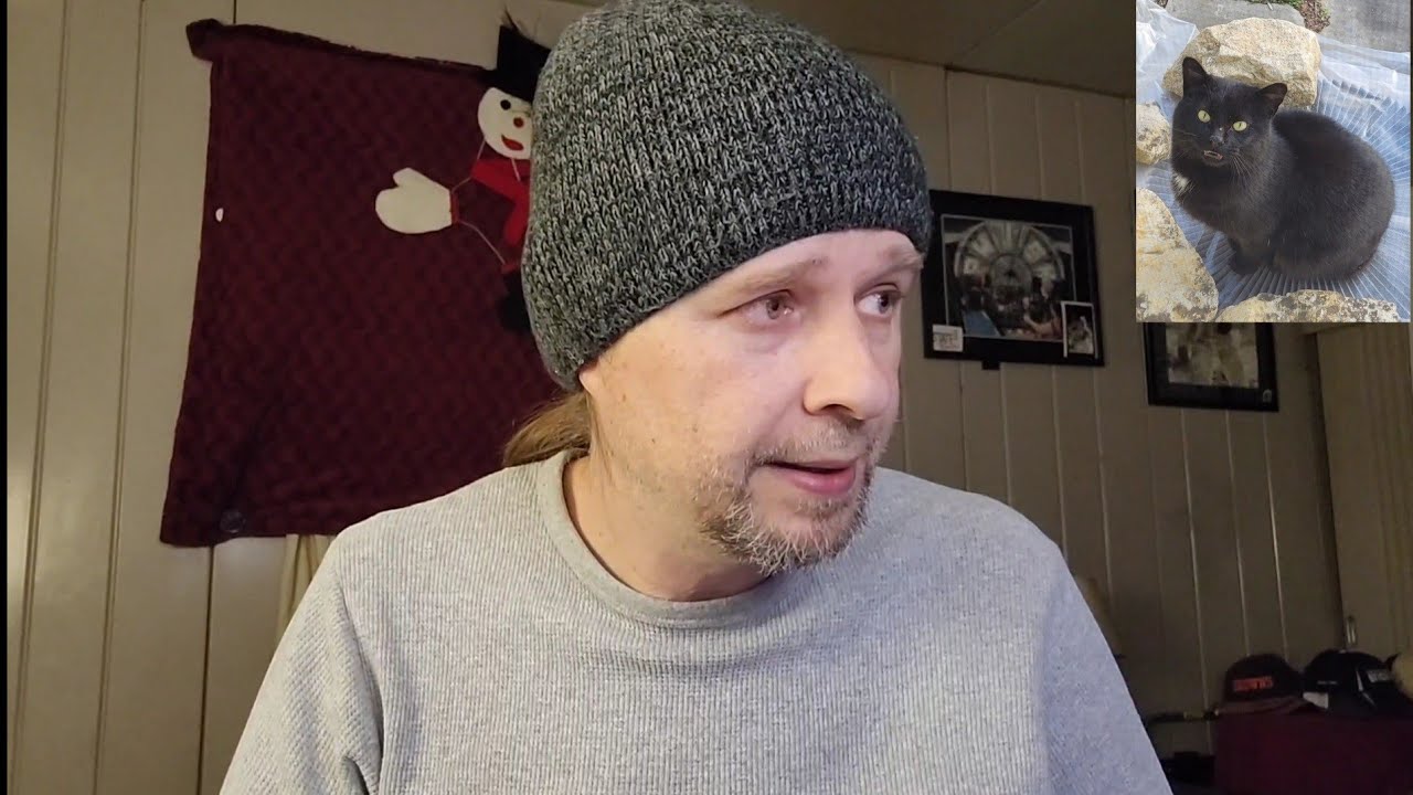 Идеальное дополнение