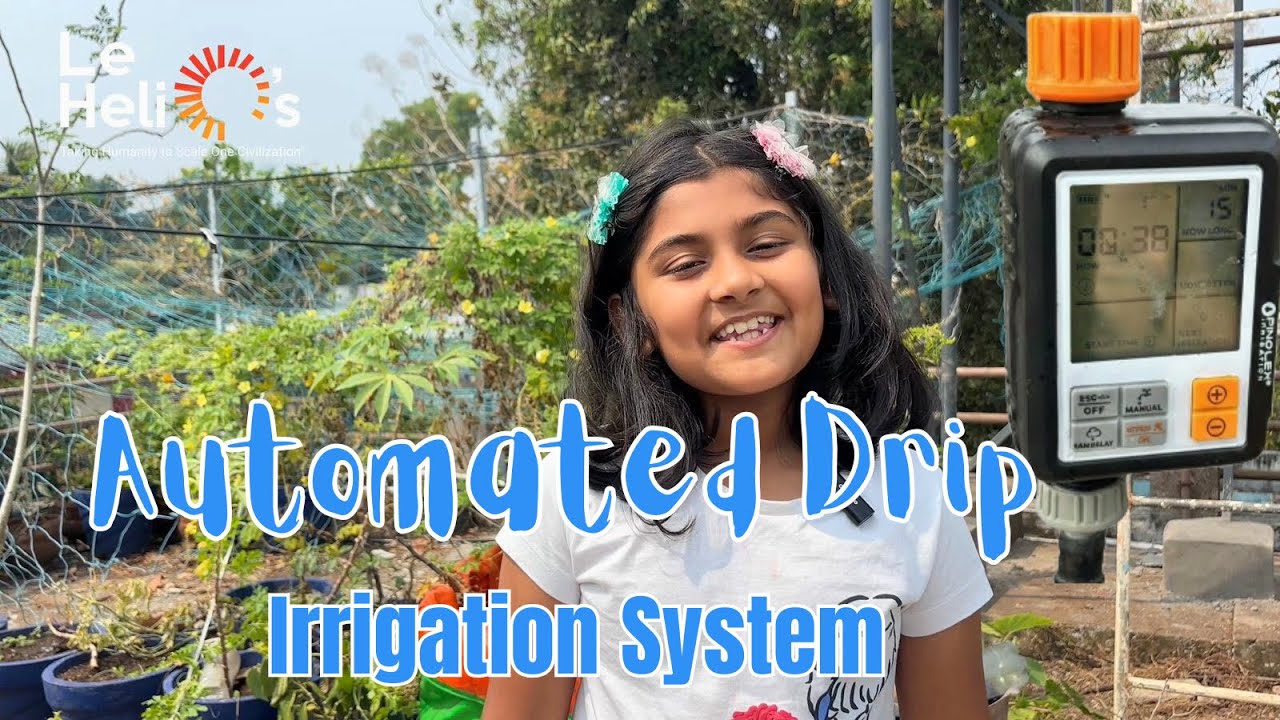 Automated drip irrigation system