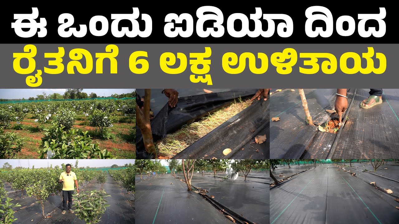 ಈ ಒಂದು ಐಡಿಯಾ ದಿಂದ ರೈತನಿಗೆ6 ಲಕ್ಷ ಉಳಿತಾಯ II weed mat II farming I agriculture mat I krushi suddi
