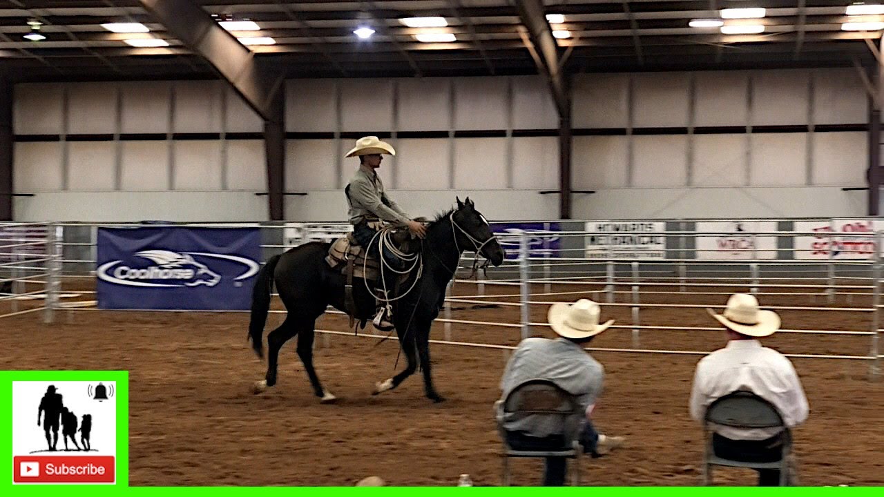 2020 Coolhorse Colt Starting Challenge Day 3 Group 2