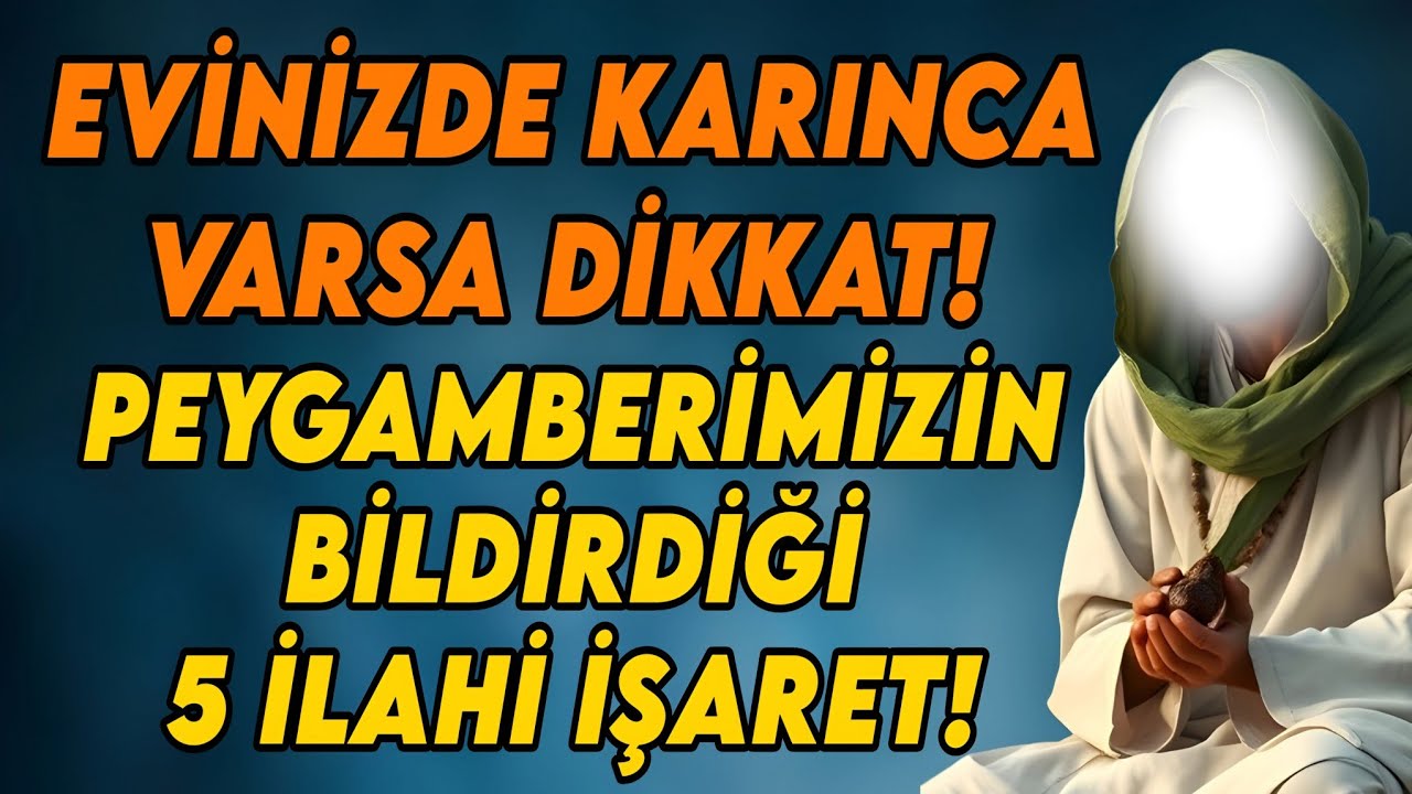 Evinizde Karınca Görmek: Peygamberimizin Bildirdiği 5 İlahi İşaret
