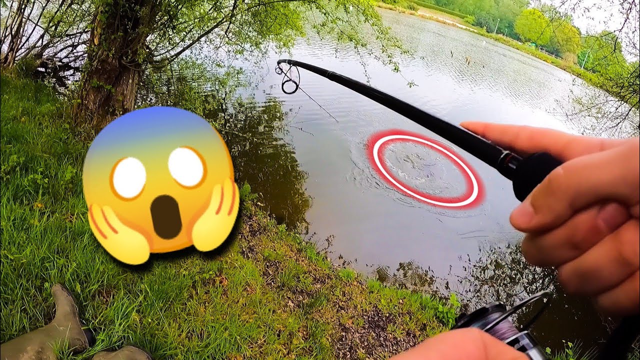Je TRAQUE ce GROS poisson CACHÉ dans ces BRANCHES !!!