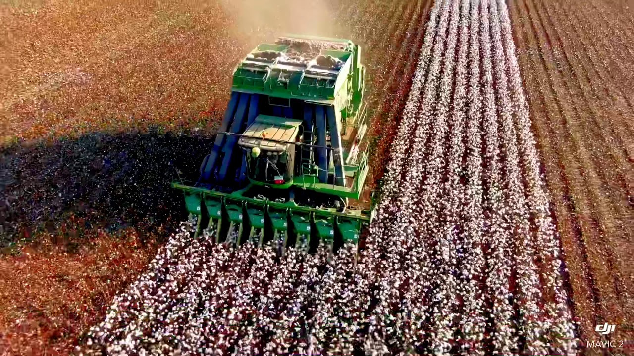 Custom built 8 row cotton picker in action 2019