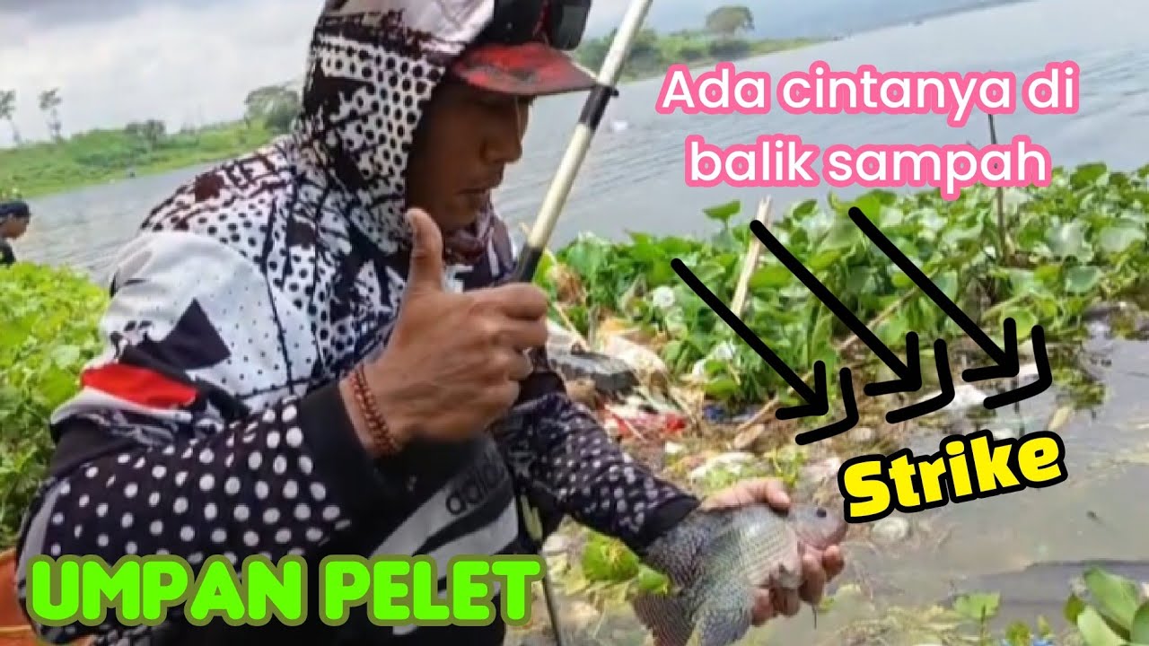 UMPAN PELET‼️STRIKE DI BALIK SAMPAH‼️ mancing ikan nila WSN selorejo kab malang