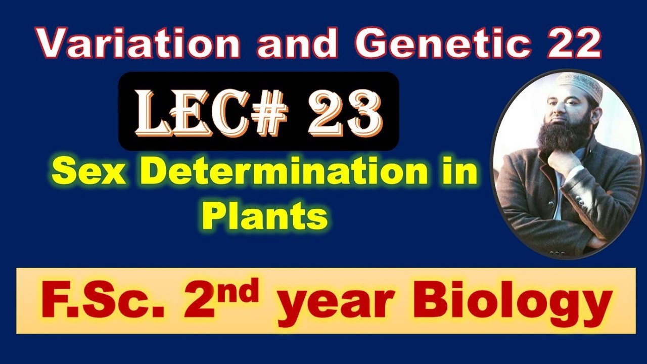 Biology chapter 22 Lecture No.23 Sex Determinantion in Plants F.Sc. (2nd Year)
