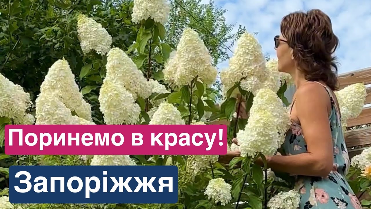 Сад, створений власними силами на півдні! Ландшафтний дизайн