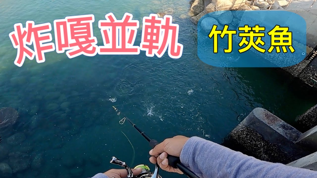 水門前衝進來數百隻好吃的魚瘋狂覓食吻仔魚！連阿伯都來撒網了！！アジ Fishing#赫馬士#竹莢魚#岸拋路亞#磯釣沈底