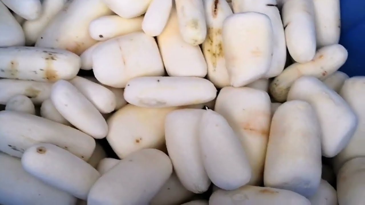 PC180 Peeling Machine