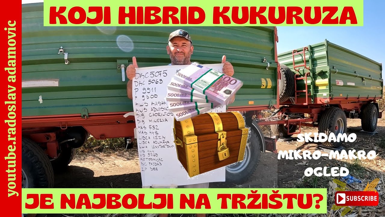 KOJI HIBRID KUKURUZA JE NAJBOLJI NA TRŽIŠTU?;WHICH CORN IS THE BEST ON THE MARKET? MIKRO-MAKRO OGLED