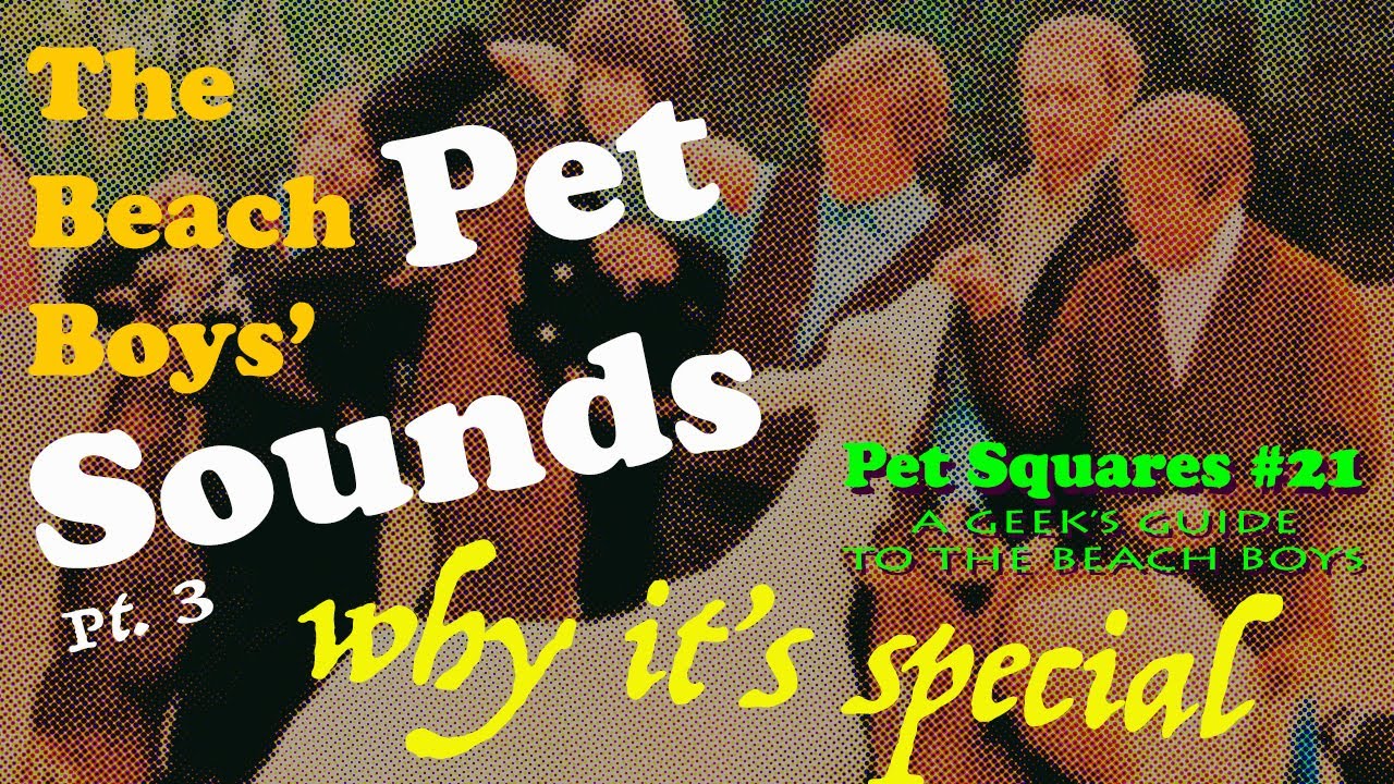 PET SQUARES #21  Pet Sounds Pt. 3: Why It's Special