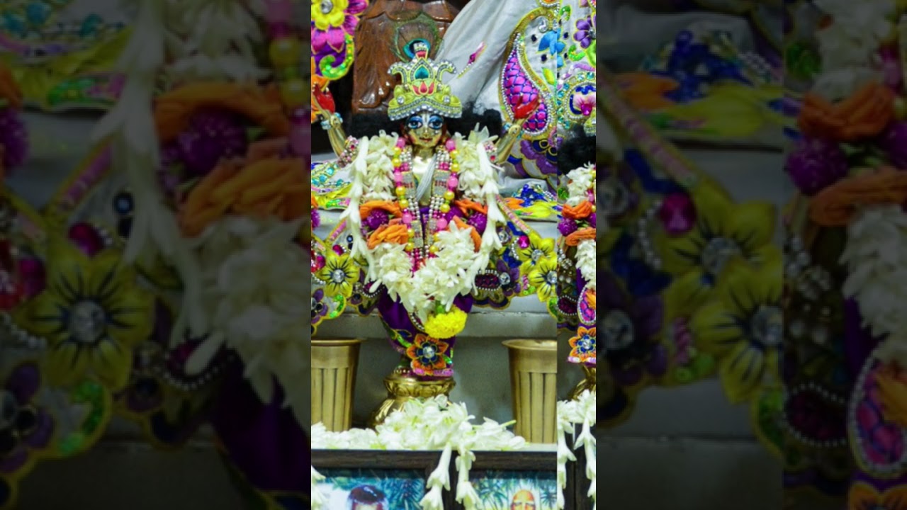 Today Darshan Radha Govind Devji ❣️🙏🏻