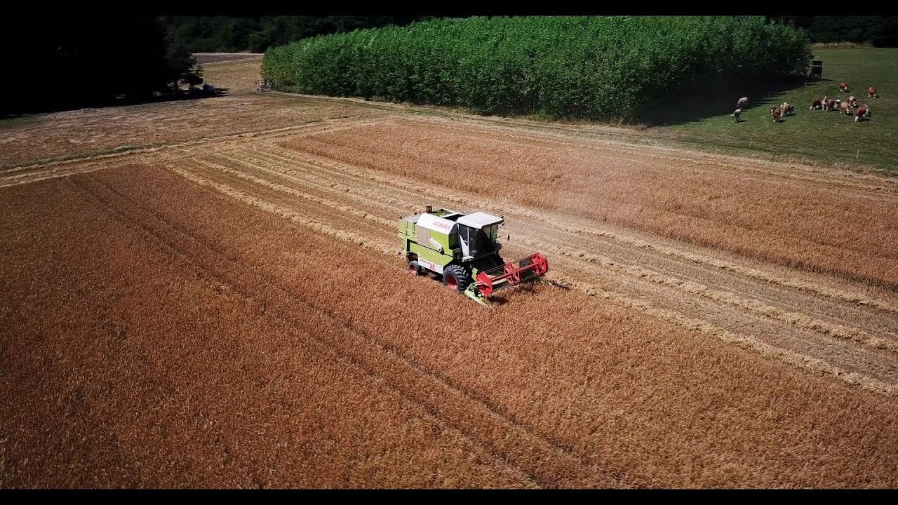 Landwirt bei der Arbeit