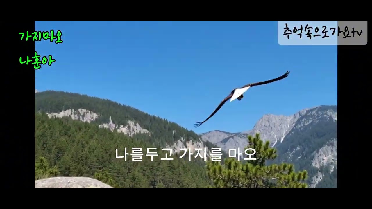 가지마오#나훈아#경주남산#남산마애불상군