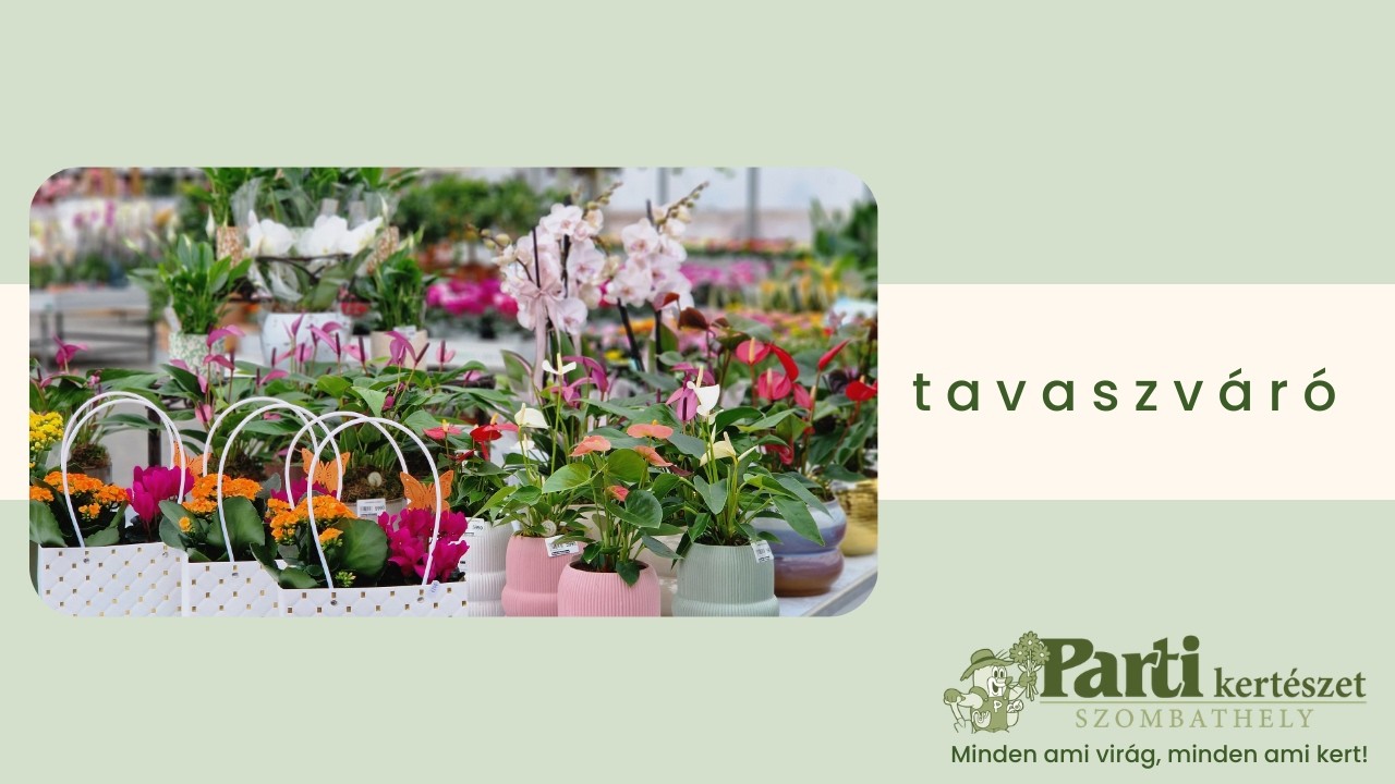 tavaszváró