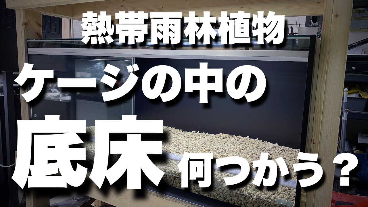 熱帯雨林植物ケージの底床にオススメな素材
