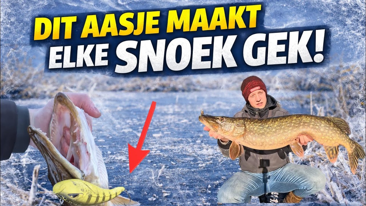 Dit aasje maakt elke snoek gek! 