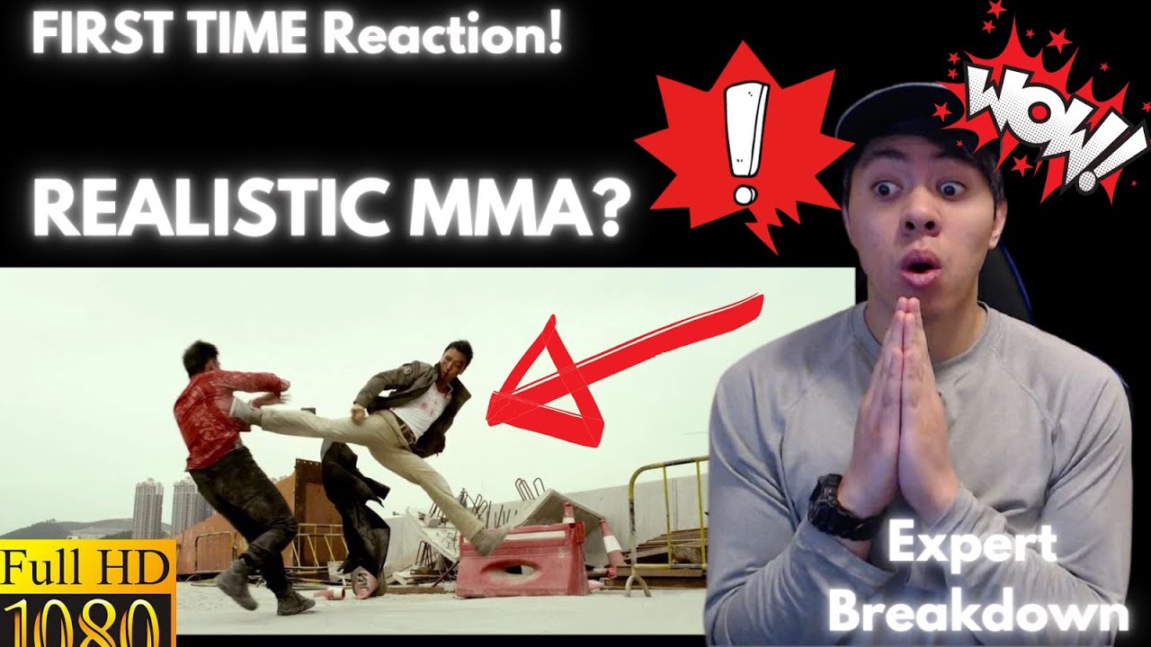 MOST REALISTIC FIGHT EVER? Martial Arts Instructor Reacts to SPECIAL ID (Donnie Yen / Ip Man!) FIRST