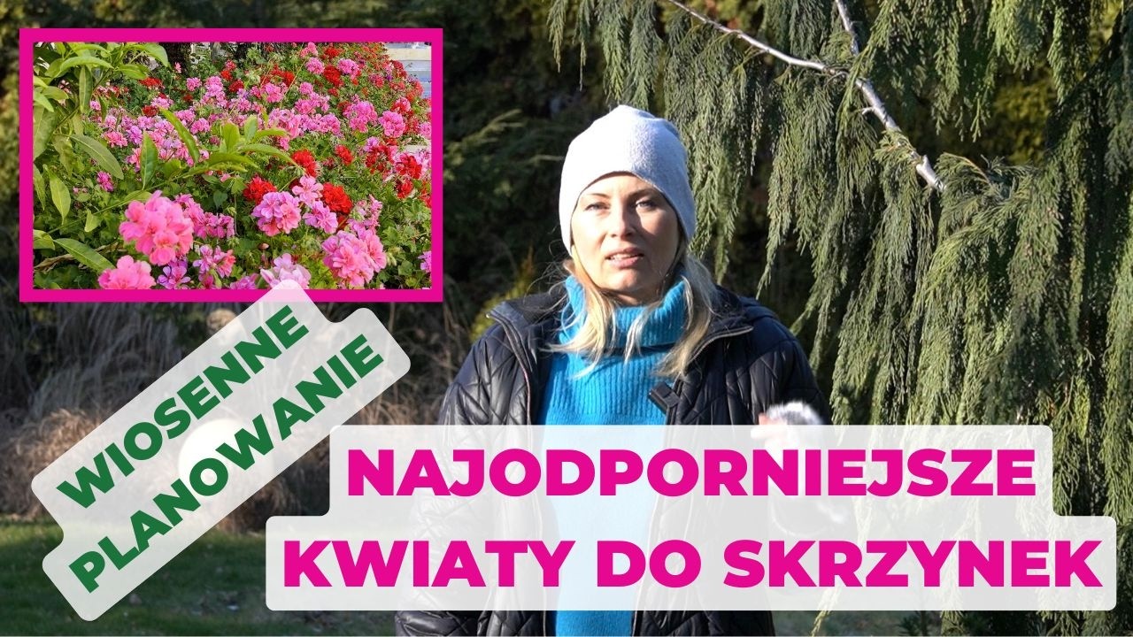 Pora na planowanie: najwytrzymalsze na suszę rośliny na taras i balkon.