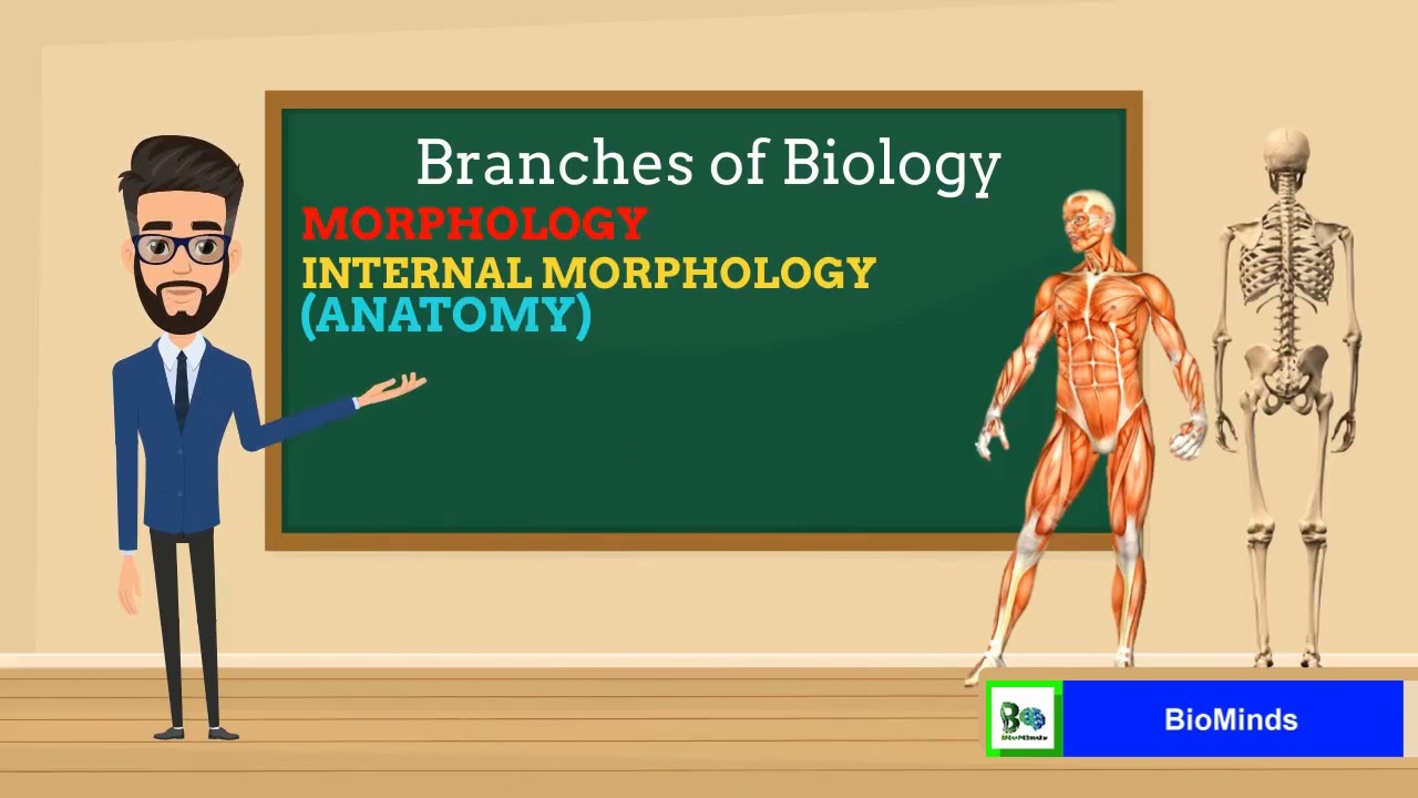 Branches of Biology | Morphology | Anatomy | External Morphology | Internal Morphology in Urdu/Hindi