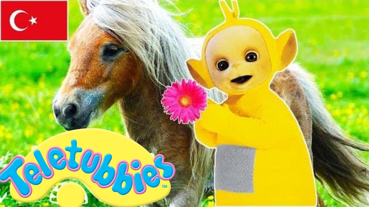 Teletubbies Türkçe | Emily ve tuzak | Sezon 02 bölüm 27 | Çocuklar için Çizgi Filmler