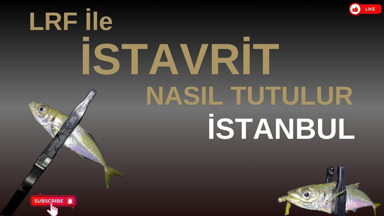 LRF İLE İSTAVRİT AVI NASIL YAPILIR!!! MAJOR CRAFT 5G Ajido AD5-S682M/AJI 2.03mt 0.6-5g LRF AVI #fish