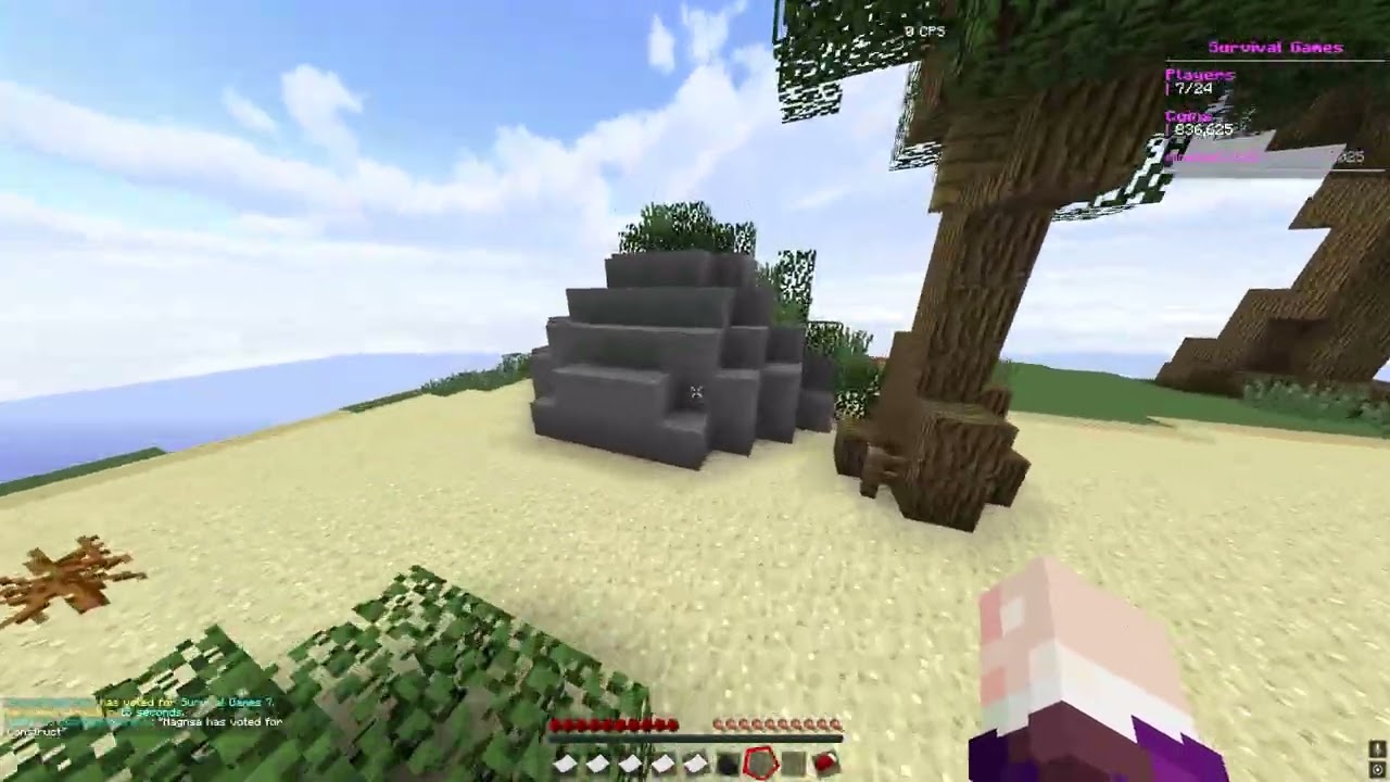 mcsg in 2025 christmas in a hole special!