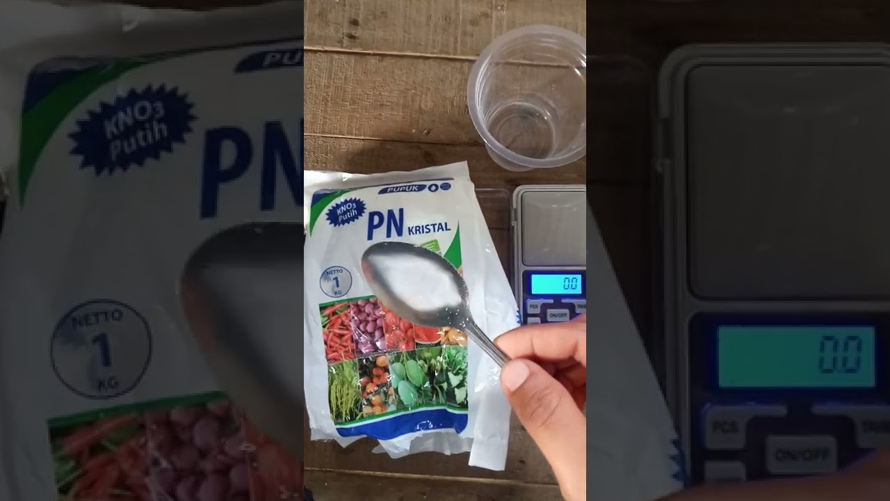 BERAPA SIH BERAT PUPUK KNO3 PUTIH DALAM SATU SENDOK MAKAN.??