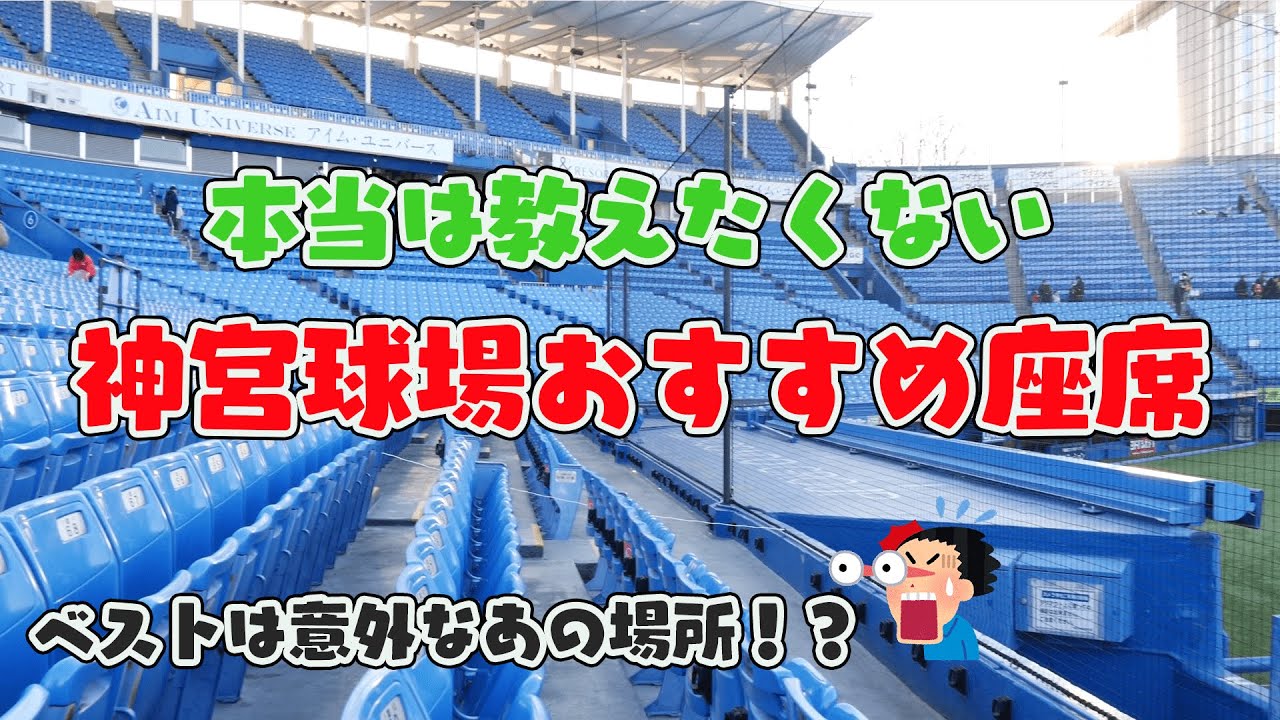 【神宮球場おすすめ座席】主が本当は教えたくないベストポジションを紹介します～内野編～