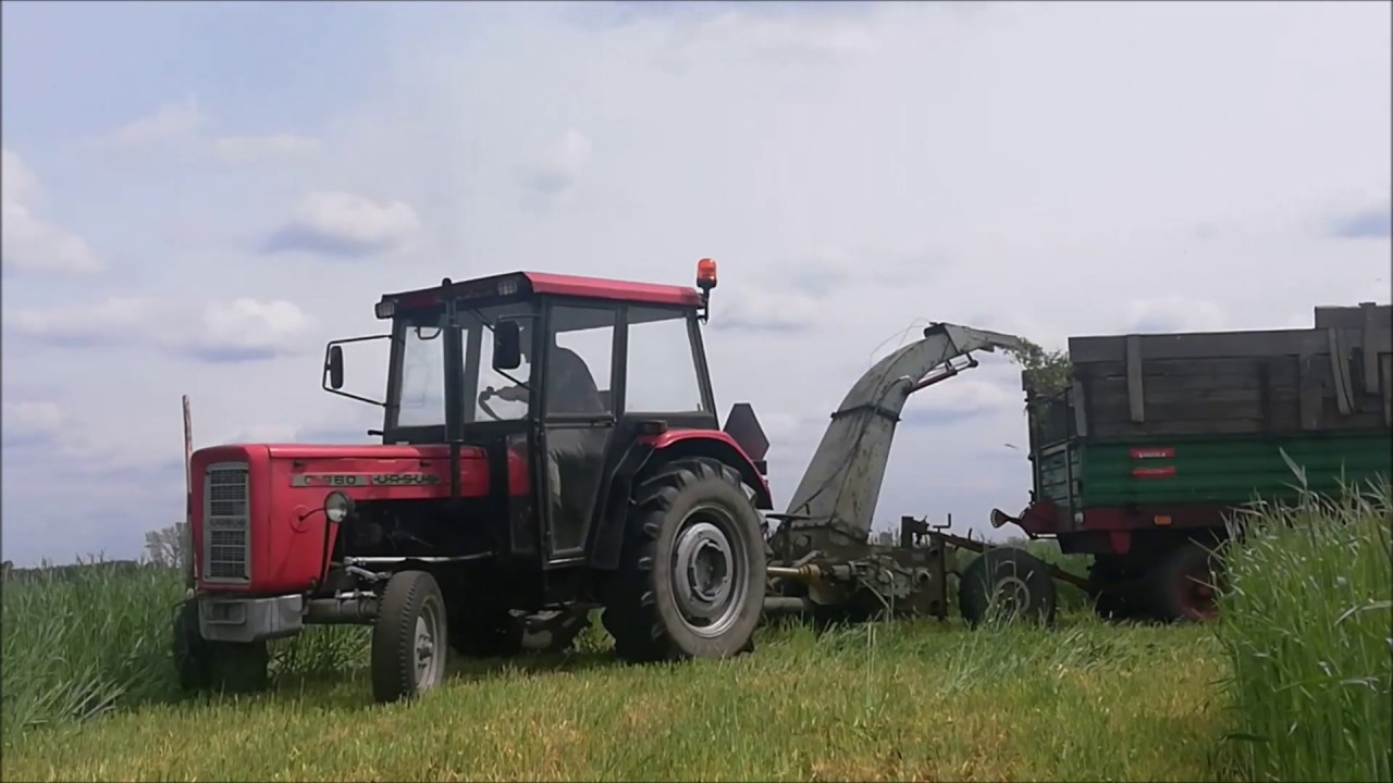☆Kiszonka z żyta 2019☆ 3xUrsus☆ Test hydraulicznego wysypu☆