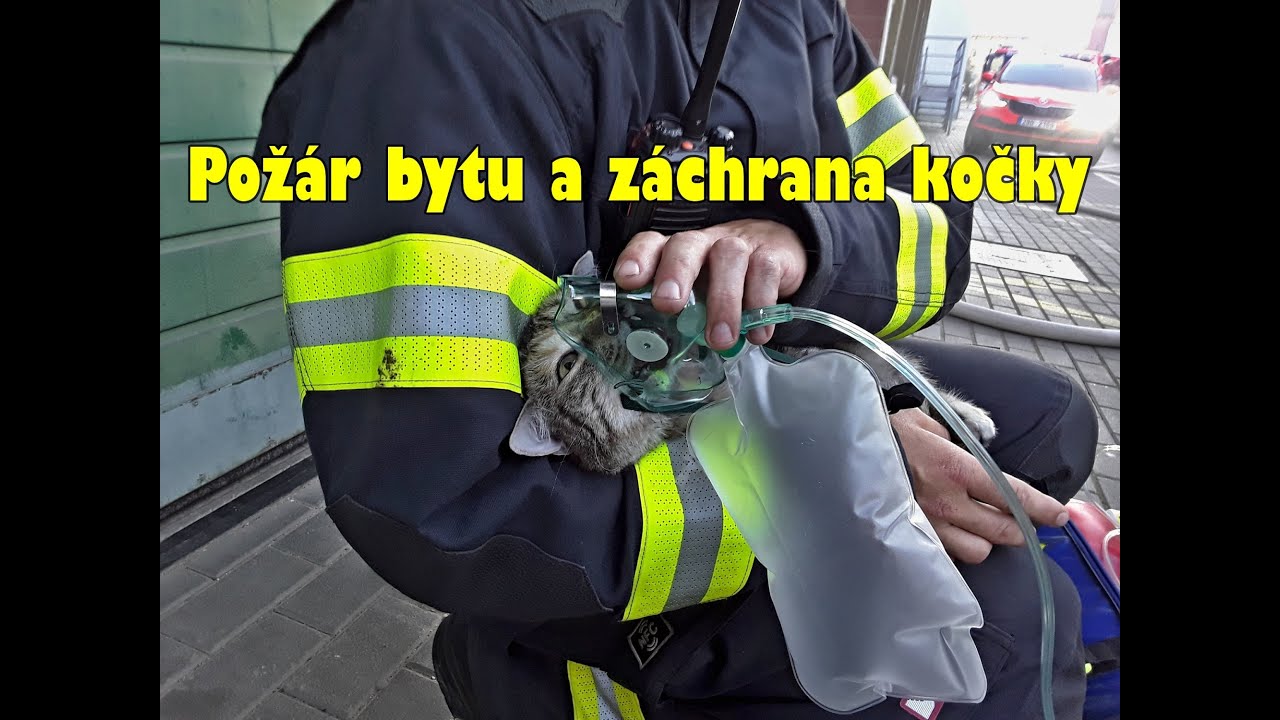 Požár bytu a záchrana kočky