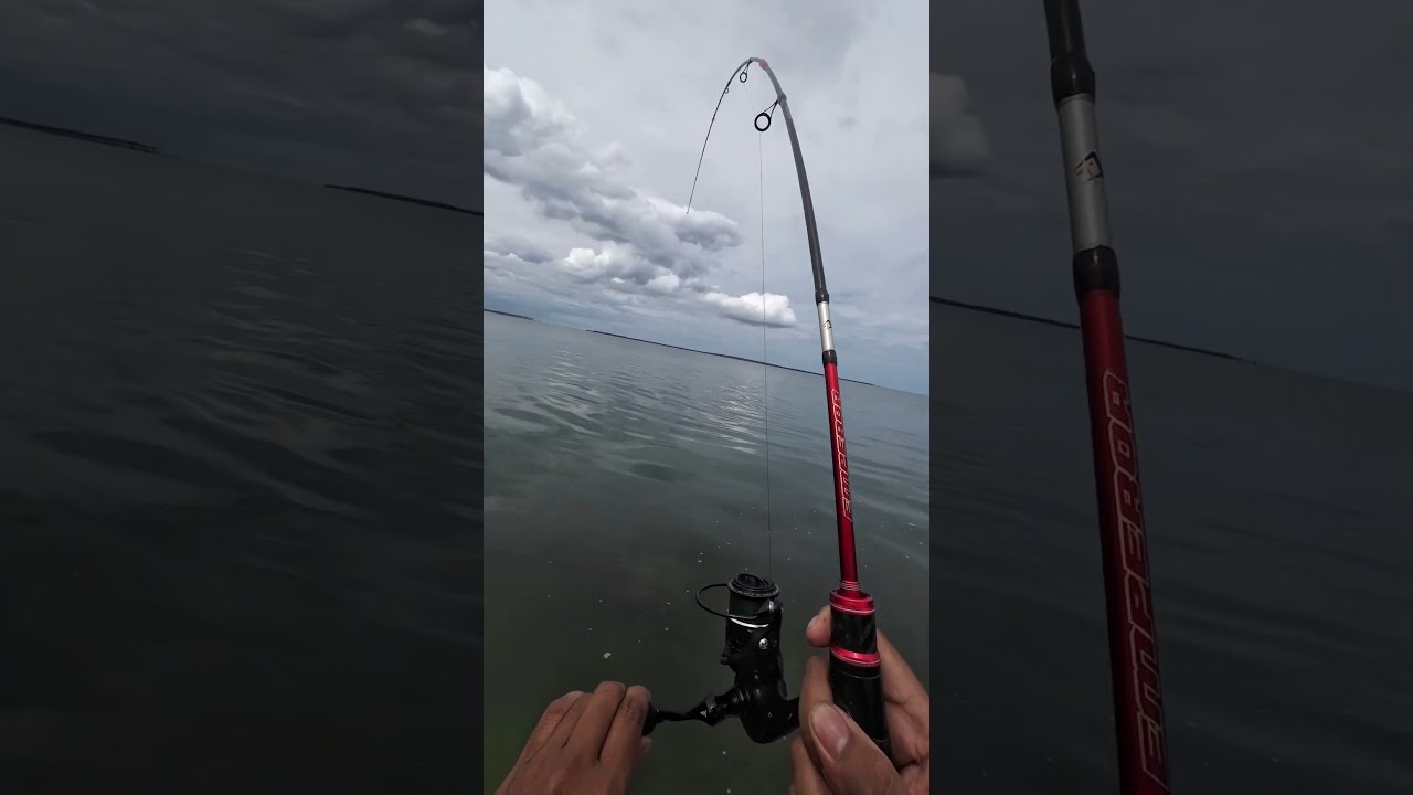 #fishing
