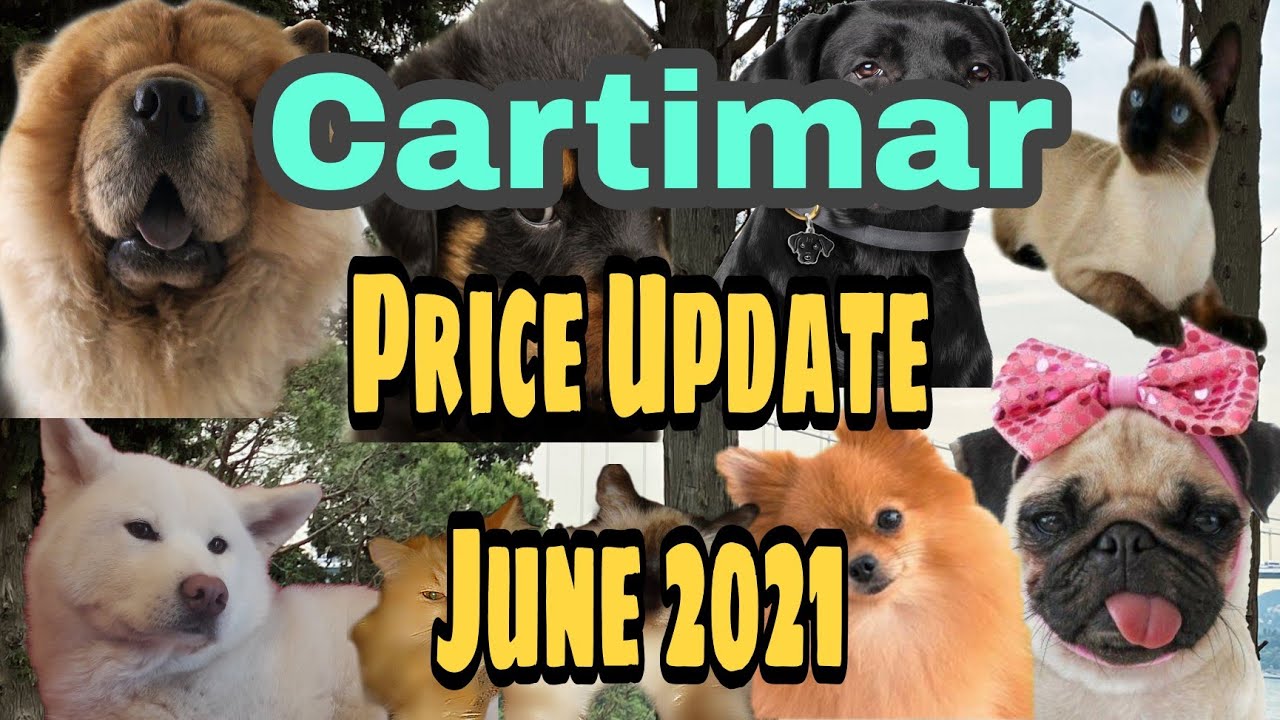 June 2021 Price Update Cartimar 🇵🇭 | Amorlyn Vlog