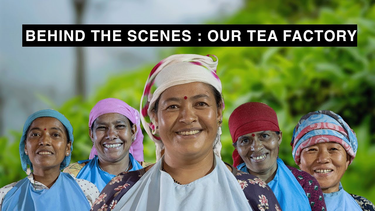 Empowering Women: Stories from Our Tea Factory
