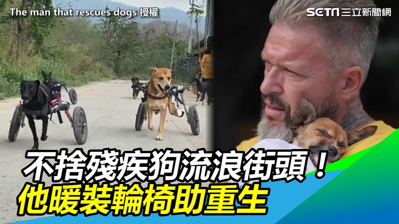 不捨殘疾狗流浪街頭！　他暖裝輪椅助重生｜三立新聞網 SETN.com